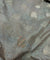 (Sale Prices) Most Premium Designer FABRICs On SALE
