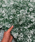 Most Premium Pure Viscose Linen Fabric (Big WIDTH!!)