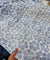 Most Premium Imported Pure Cotton Hakuba Chikankari Fabric (Big WIDTH!!)