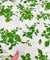 Most Premium Pure Cotton Hakuba Chikankari Printed Fabric (Big WIDTH!!)