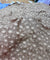 Most Premium Pure Hakuba Chikankari Cotton Fabric (Big WIDTH!!)