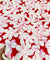 Premium Pure Cotton 80*80 Printed Cotton FABRIC (Big WIDTH!!)