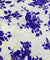 Most Premium Pure Cotton Hakuba Chikankari Printed Fabric (Big WIDTH!!)