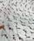 Most Premium Pure Hakuba Chikankari Cotton Fabric (Big WIDTH!!)