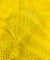 Most Premium Pure Cotton Hakuba Chikankari Fabric (Big WIDTH!!)