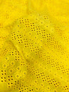 Most Premium Pure Cotton Hakuba Chikankari Fabric (Big WIDTH!!)