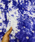 Most Premium Fine Chikankari Embroidery On Pure Cotton Tie& Dye FABRIC (Big WIDTH!!)
