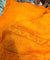 Most Premium Pure Hakuba Chikankari Cotton Fabric (Big WIDTH!!)