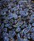 Most Premium Pure Cotton PRINTED FABRIC (Big WIDTH!!)