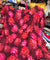 Most Premium Pure Viscose Georgette PRINTED Fabric (Big WIDTH!!)