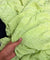 Most Premium Pure Natural CREPE FABRIC (Big WIDTH!!)