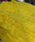 Most Premium Pure Hakuba Chikankari Cotton Fabric (Big WIDTH!!)
