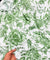Most Premium Pure Modal Cotton Printed FABRIC (Big WIDTH!!)