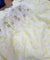 Most Premium Pure Hakuba Chikankari Cotton Fabric (Big WIDTH!!)