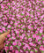 Most Premium Pure Printed Fabric (Big WIDTH!!)