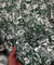 Most Premium Pure Linen Cotton Printed Fabric (Big WIDTH!!)