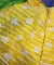 Most Premium Pure Hakuba Chikankari Cotton Fabric (Big WIDTH!!)