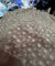Most Premium Pure Hakuba Chikankari Cotton Fabric (Big WIDTH!!)