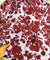 Branded Premium Fine Member Satin Viscose PRINTED FABRIC (Big WIDTH!!)