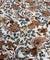 Most Premium Pure Hakuba Chikankari PRINTED Cotton Fabric (Big WIDTH!!)