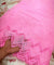 Most Premium Collection Of Cotton Fabric - Applique Fabric