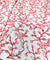 Most Premium Pure Cotton Texture FABRIC With Kashmiri Embroidery (Big WIDTH!!)