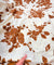 Most Premium Pure Cotton Hakuba Chikankari Printed Fabric (Big WIDTH!!)