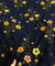Most Premium Pure Fine Thread Embroidery On Hakuba Chikanakri Cotton FABRIC (Big WIDTH!!)