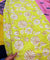 Most Premium Pure Hakuba PRINTED Chikankari Cotton Fabric (Big WIDTH!!)