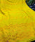Most Premium Pure Hakuba Chikankari Cotton Fabric (Big WIDTH!!)