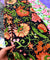 FABRIC ON SALE PRICES