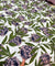 FABRIC ON SALE PRICES