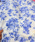 FABRIC ON SALE PRICES