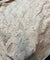 Premium FABRICS On SALE PRICES