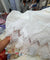 Premium FABRICS On SALE PRICES
