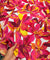 Most Premium Pure Mul Cotton FABRIC PRINTED (Big WIDTH!!)