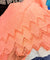 Premium FABRICS On SALE (Discounted Prices)