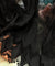 Premium FABRICS On (SALE Prices) Discount