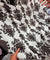 Premium FABRICS On (SALE Prices) Discount