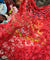 Premium FABRICS On (SALE Prices) Discount
