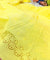 Most Premium Pure Cotton Hakuba Chikankari Fabric (Big WIDTH!!)