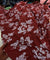 Premium FABRICS On (SALE Prices) Discount