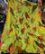 Most Premium Imported China Plachi Brasso (Kurti Size Cut)