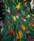 Most Premium Imported China Plachi Brasso (Kurti Size Cut)