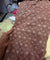 Premium FABRICS On (SALE Prices) Discount