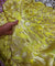 Most Premium Fine Zari Weaving On Pure Georgette FABRIC