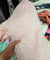 Premium FABRICS On (SALE Prices) Discount