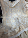 Most Premium Kanjivaram Banarasi Silk Dupatta (Full Size) - DYEABLE Also