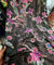 Most Premium Imported China Velvet FABRIC Printed (Kurti Cut Size)