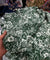 Premium FABRICS On (SALE Prices) Discount